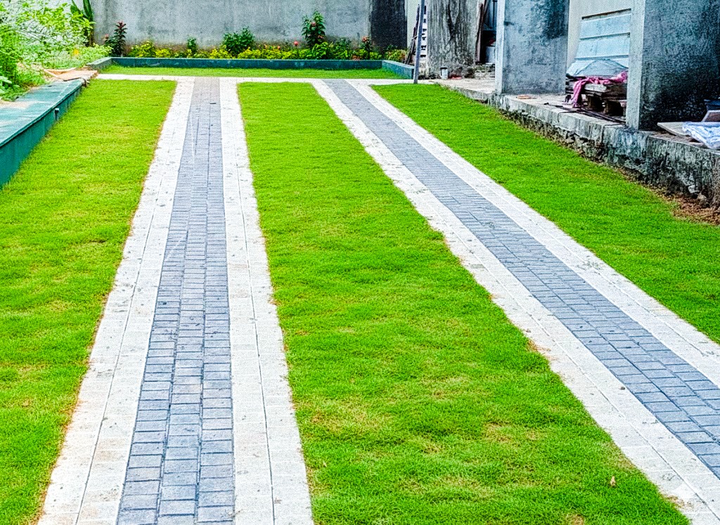 Grass Track Driveway